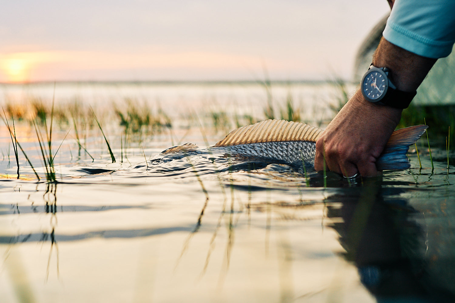 Traditional vs. Smartwatches: Which Are Better?