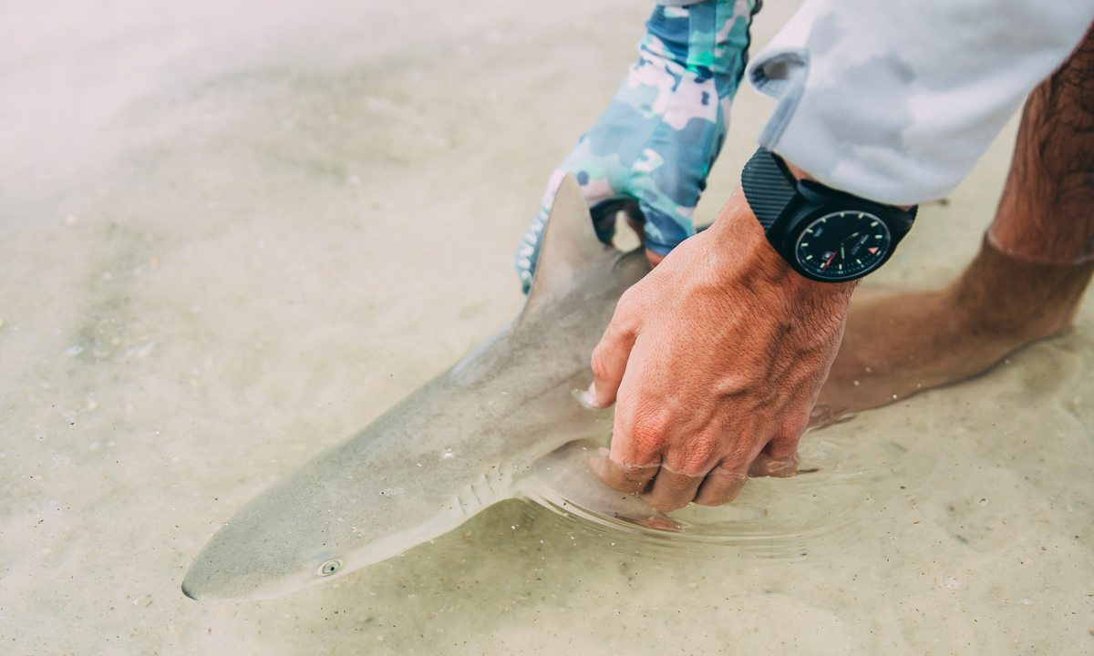 Shop Sailing Watches from Hook Gaff