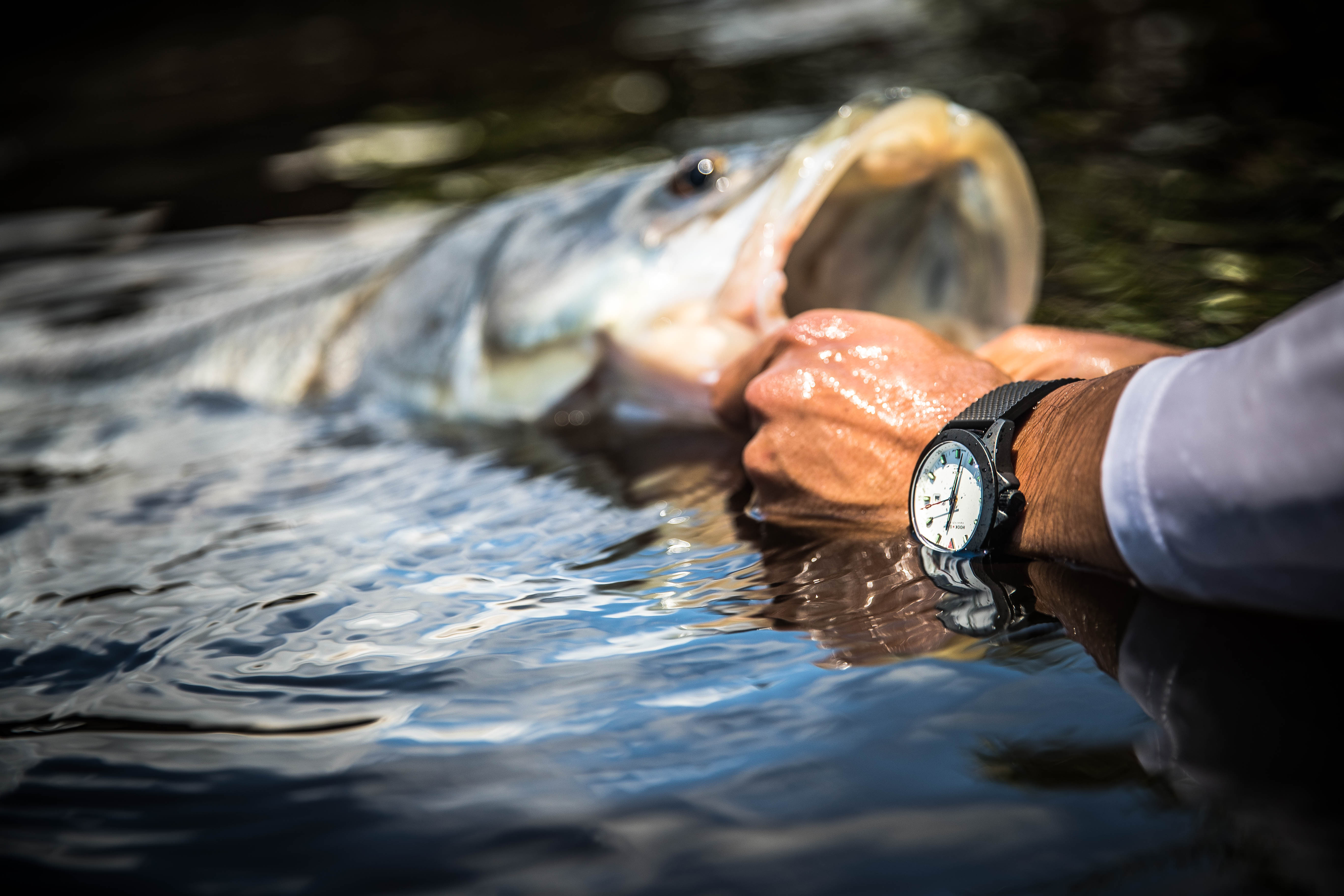 New Sportfisher Blue Dial Watch – Hook+Gaff